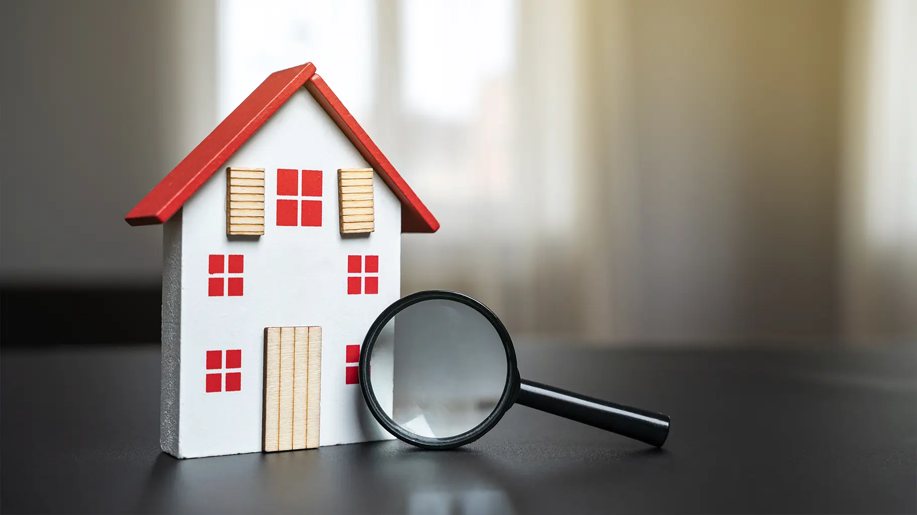 Professional Inspection - Rocky Real Estate professional service